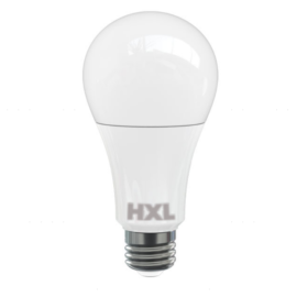 EcoHX™ LED A21
